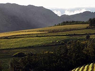 Mountain Cottages At Haskell Vineyard Stellenbosch Exterior photo